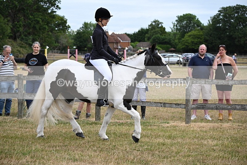 WJ6_3912 - Class 9 Tack & Turnout