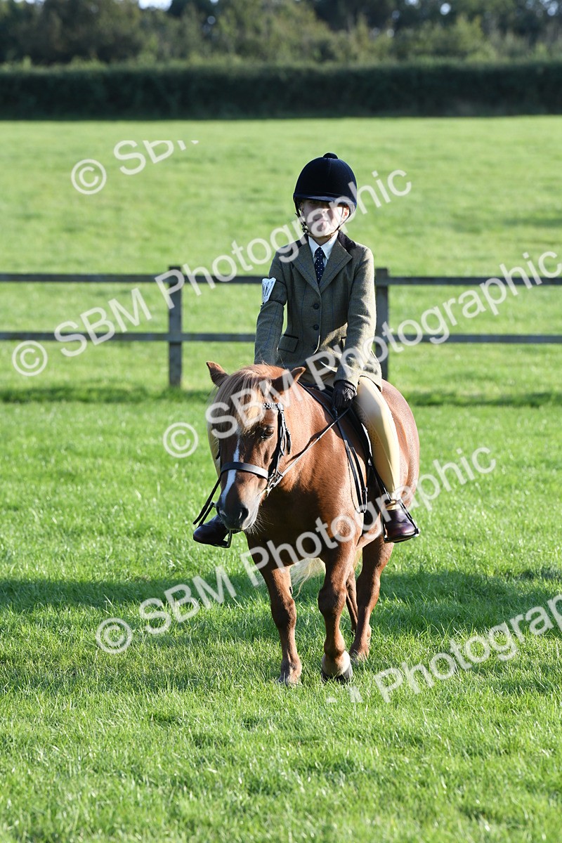 SBM_54144 - S23 - 1st Ridden Mountain & Moorland Pony