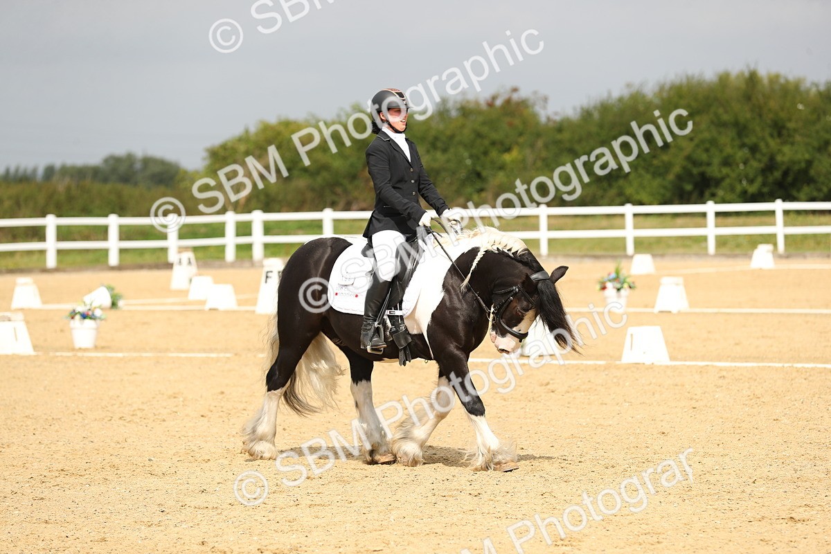SBM_016459 - Class 13 - Novice 23 - 11.25-12.35
