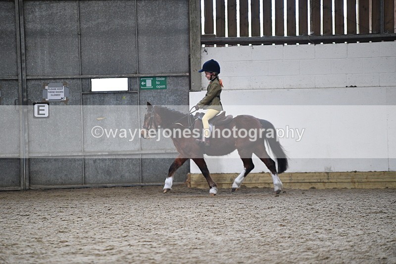 WJ5_6991 - Class 10 Childs Pony