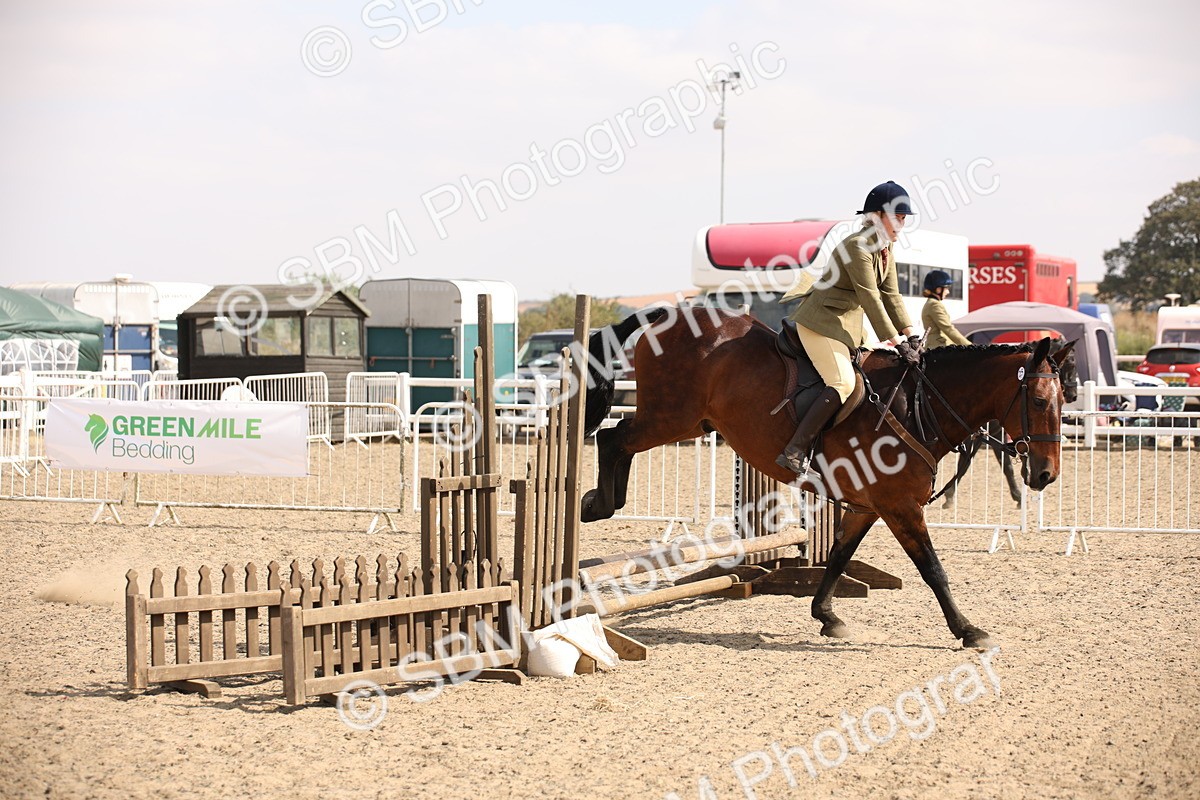 SBM_14348 - Class 407b - Working Veteran 60cm (20+)