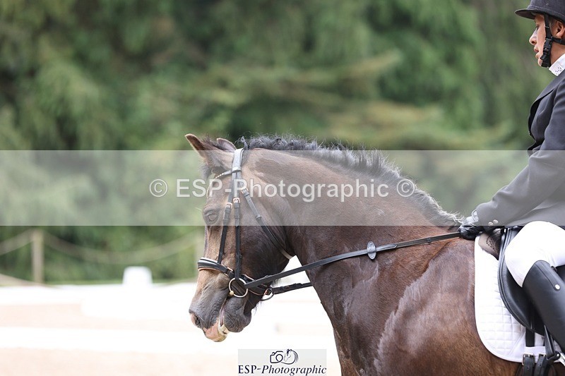 230812-102540-03221 - Cls 5 Novice Bronze Start to 10.55 break