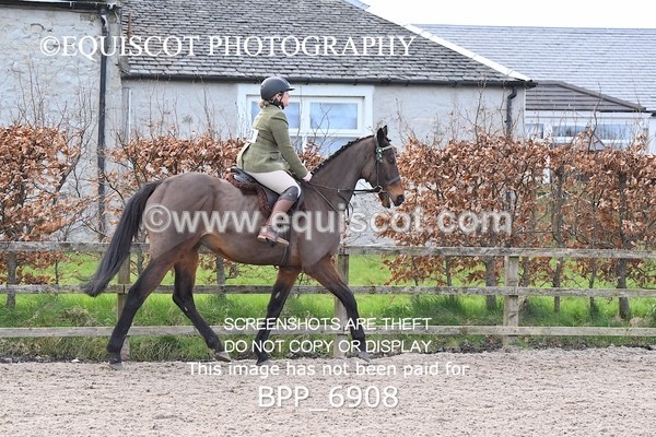 BPP_6908 - RING 1  (RIDDEN HORSES / IN HAND / VETERAN ETC)