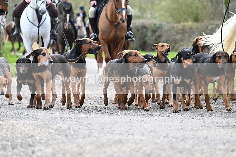 WJ7_9808 - Walk Home