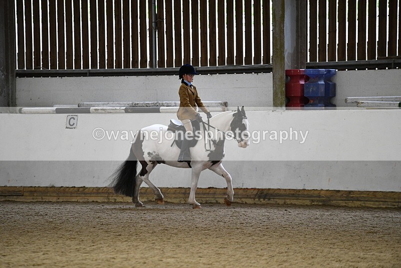 WJ5_7387 - Class 11 Ridden PC - RC Pony