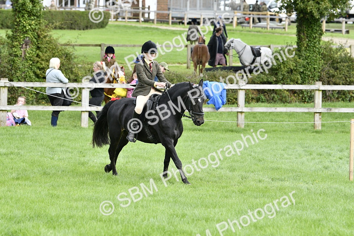 SBM_41595 - S32 - Mountain & Moorland Working Hunter Pony