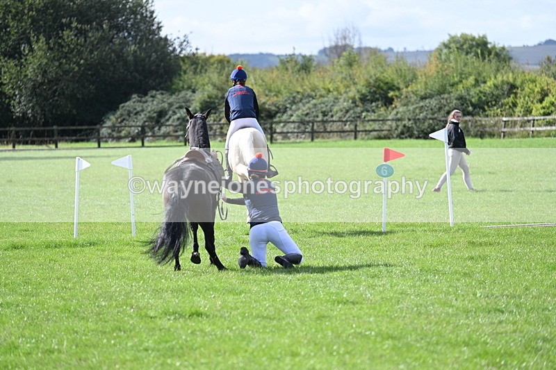 WJ7_8531 - 60cm Pairs