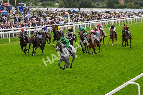 210824-Race 6-Star Of Lady M-5541 - Race 6 4.45pm Visit Irish Yearling Sale With ITM Fillies' Handicap