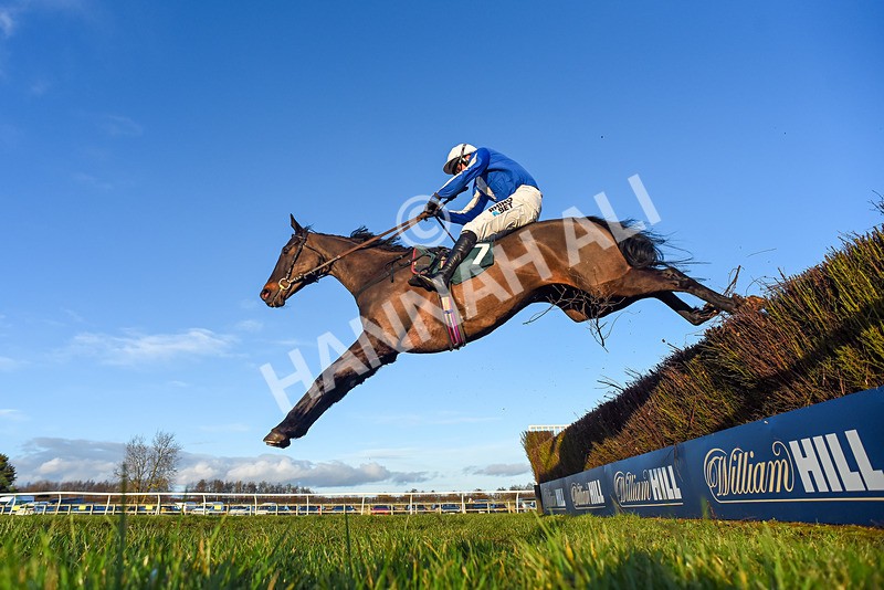 250225-Race 5-Sean Og-3123 - Race 5