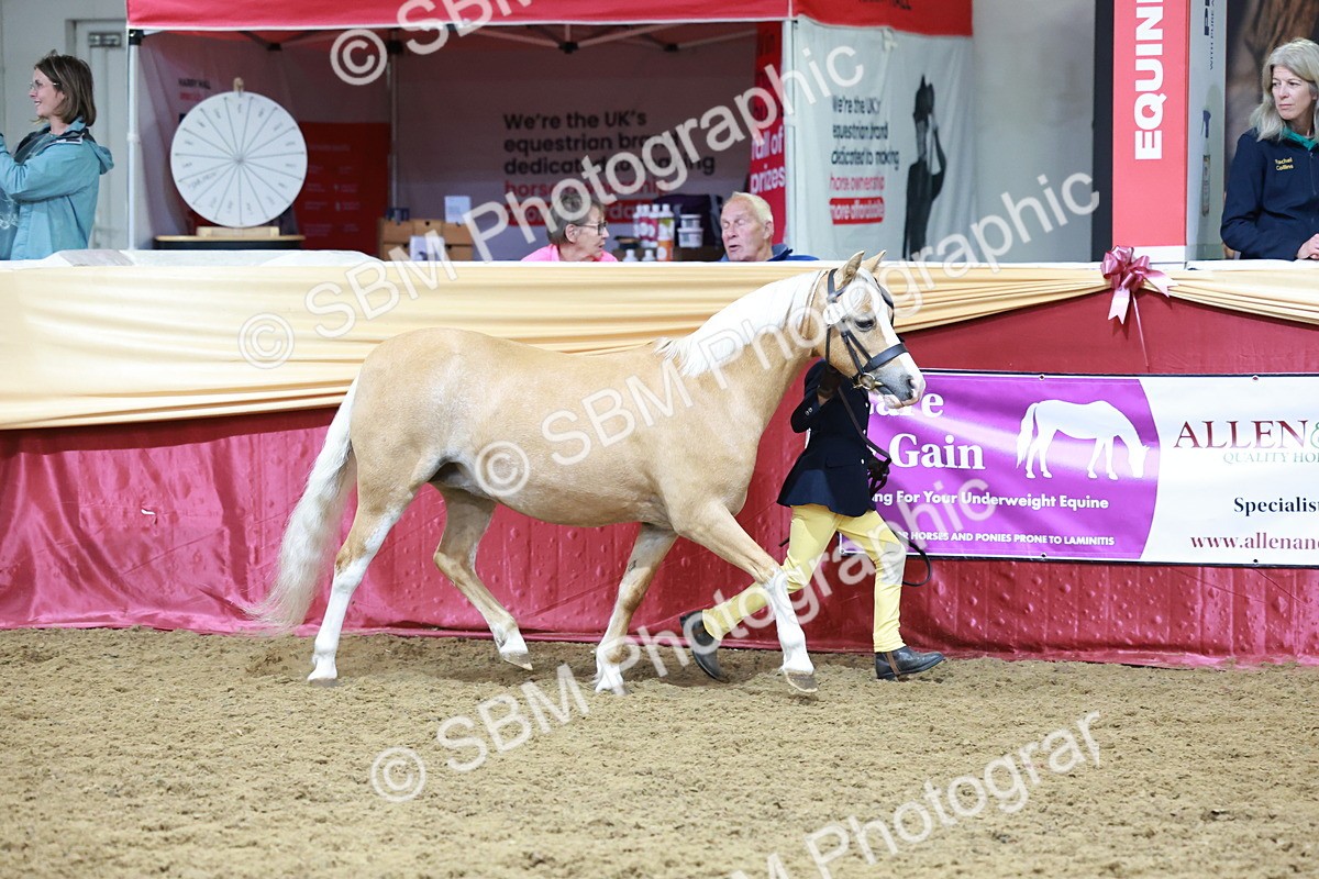SBM_19935 - Class A - Junior Champ 10yr and Under