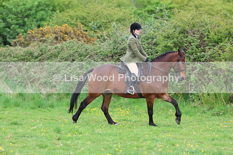 3E7A1441 - Class 8: Ridden Veteran Junoir and Senior