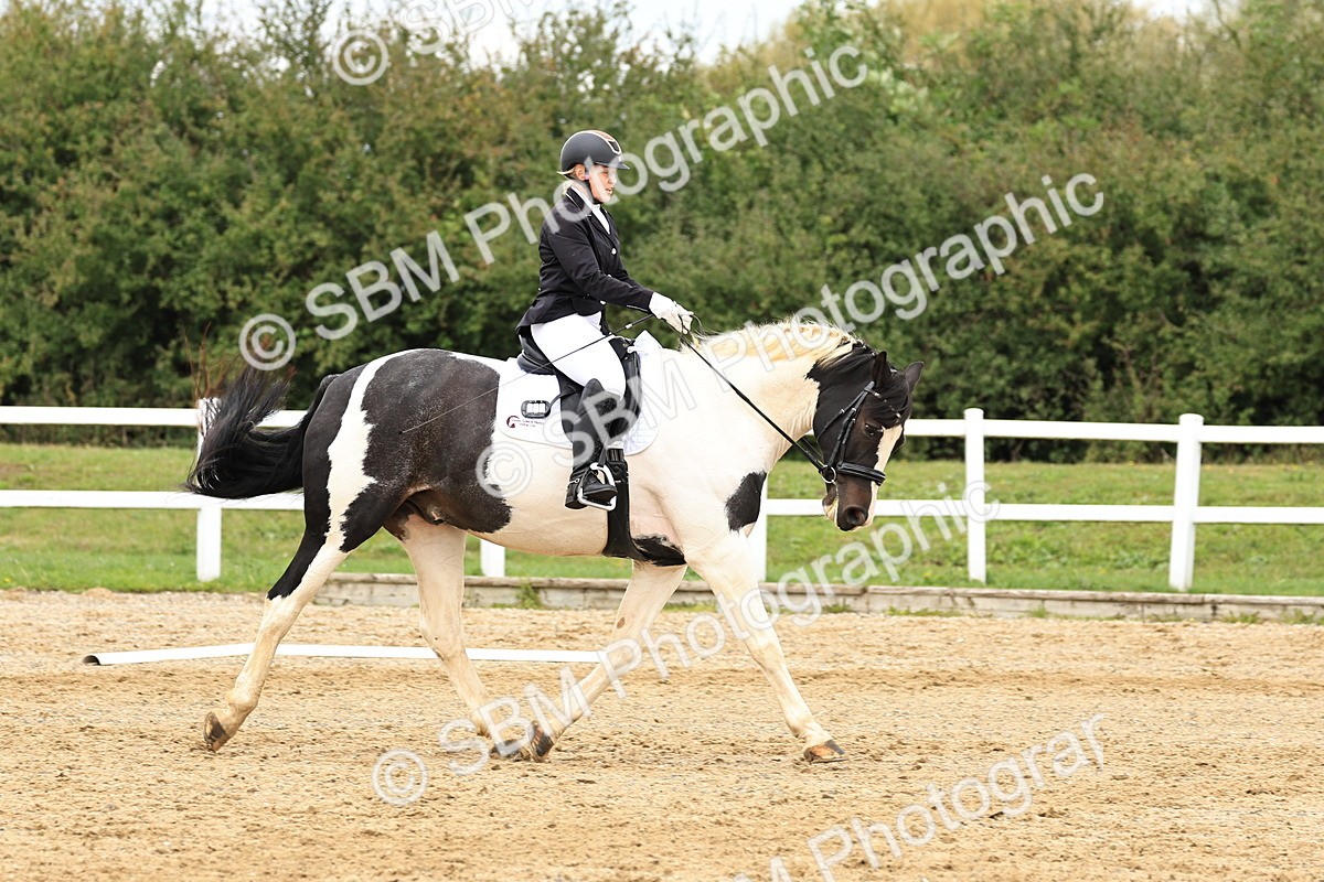 SBM_003530 - Novice 1
