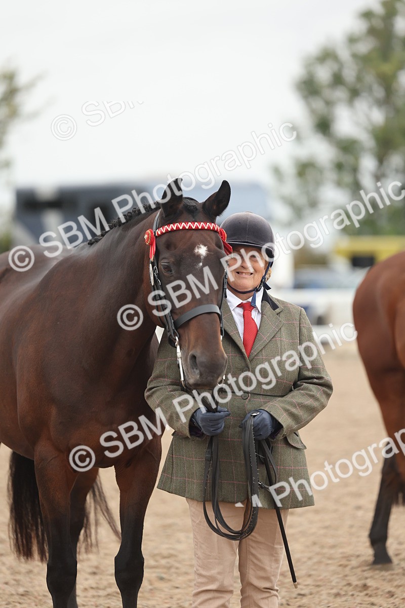 SBM_19877 - Class 318 - IH Part Bred Horse-Pony