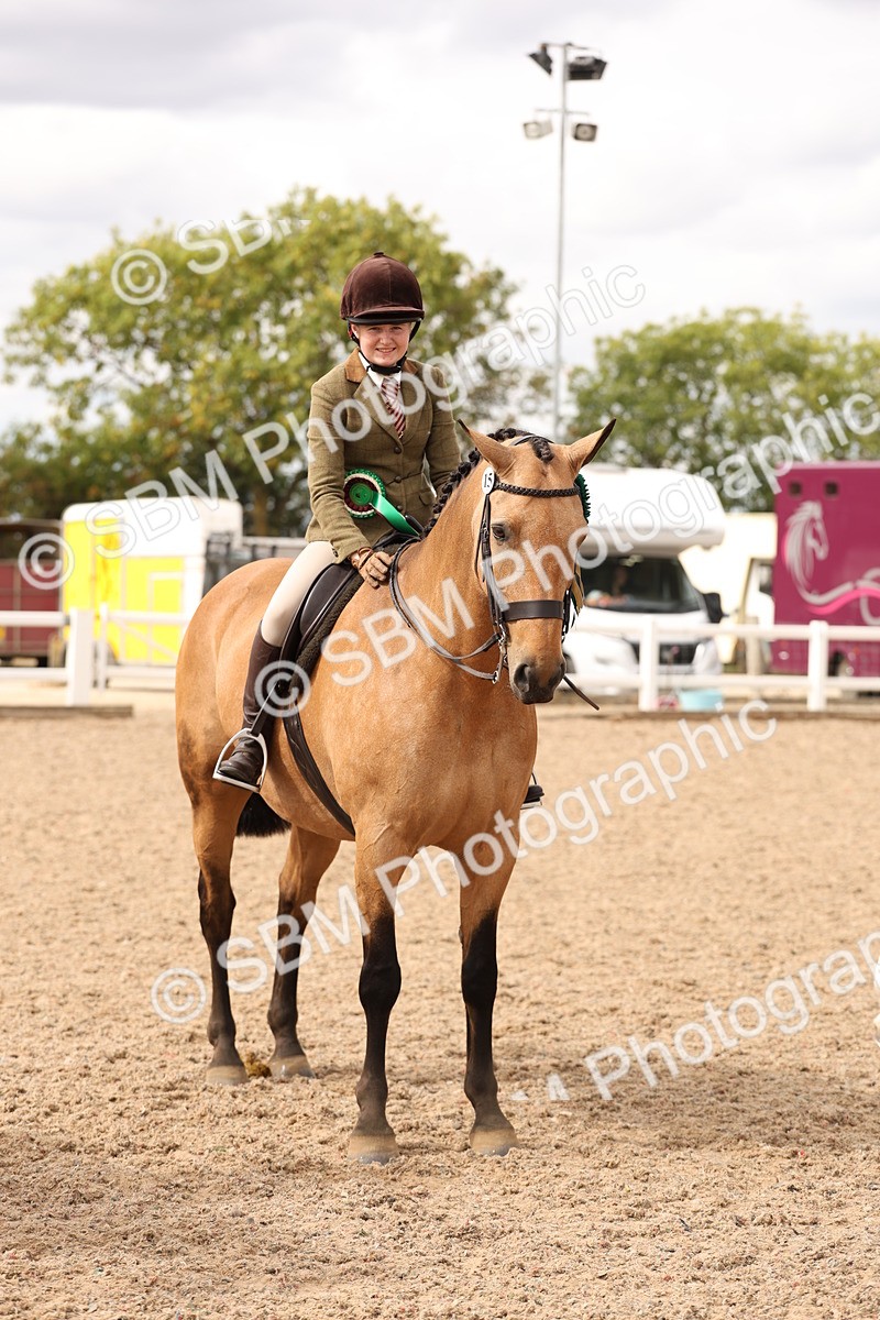 SBM_17281 - Class 213 - Ridden Hunter - Large