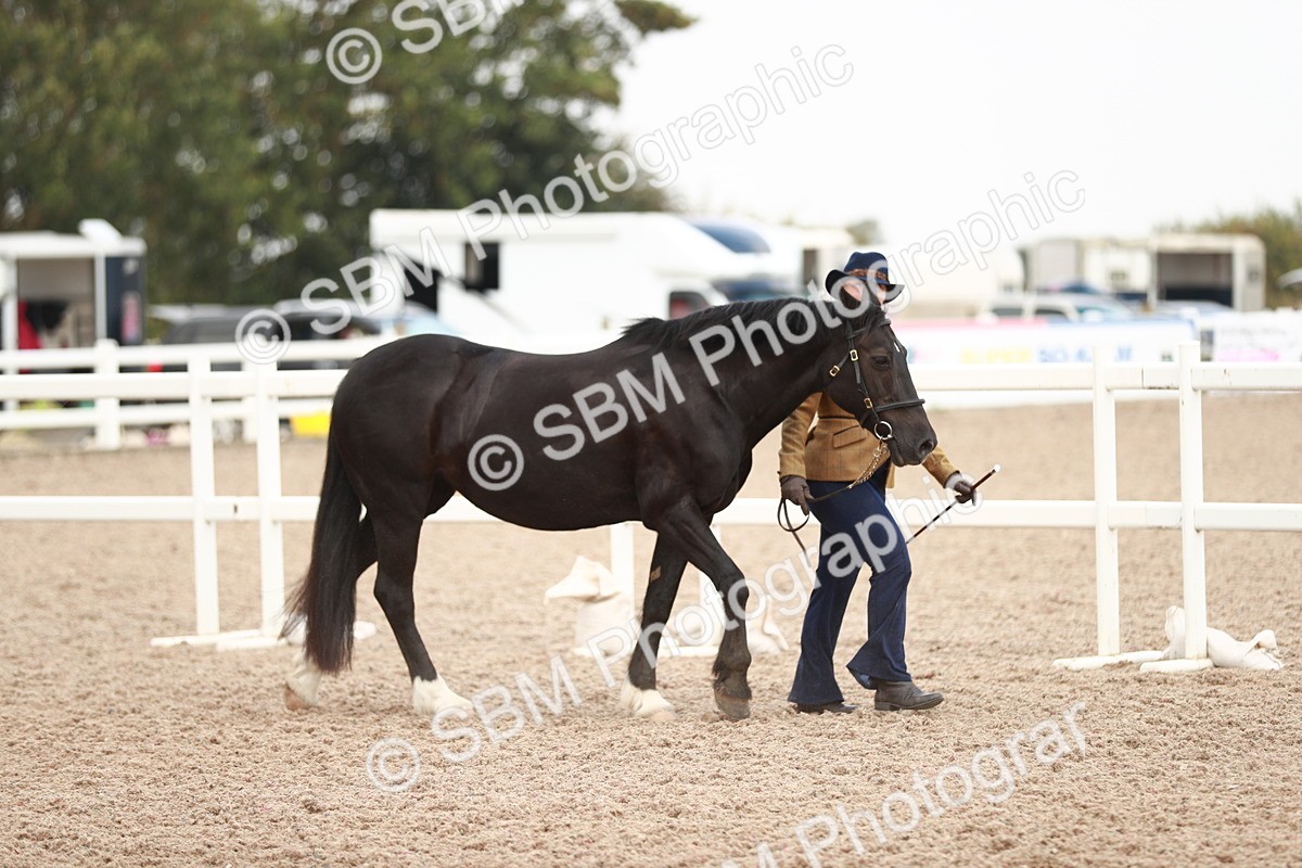 SBM_12401 - Class 207 IH M&M