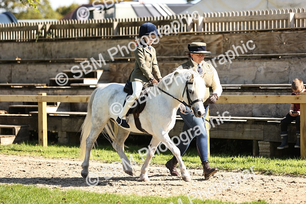 SBM_19219 - S3 - TSR Ridden Pony Showing
