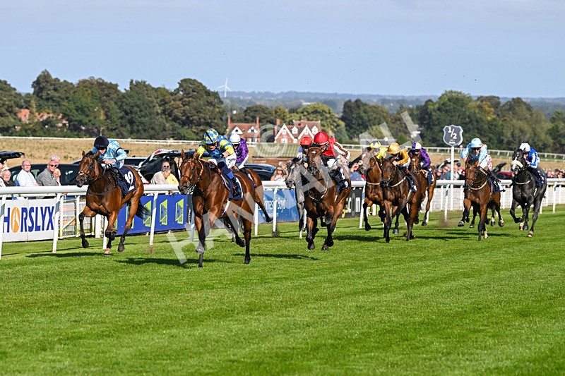 180924-Race 5-Blue Zodiac-4780 - Race 5