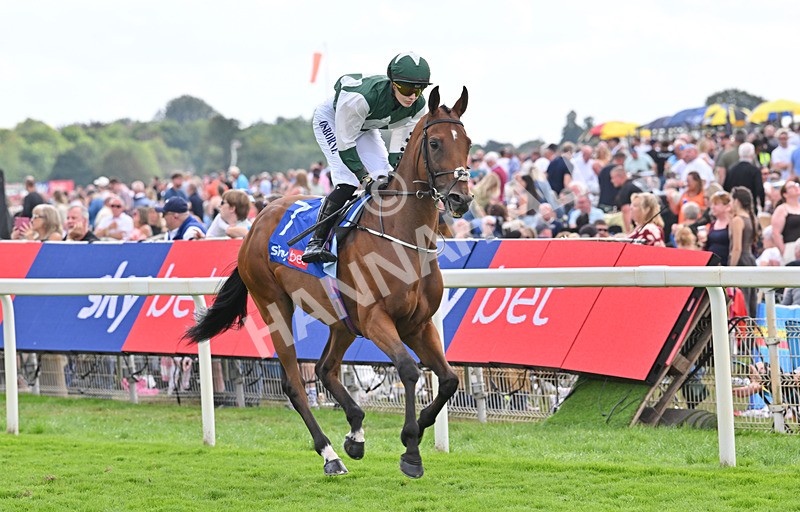220826-182 Mr Hollywood - Race 4 15.35pm Sky Bet Ebor Handicap