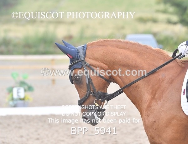 BPP_5941 - PRELIM TEST 5 LONG ARENA