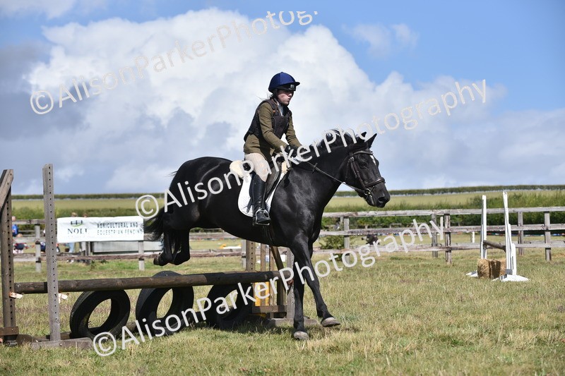 20250831-3984 - Class 12 - Working Hunter Pony 14.2hh and Under
