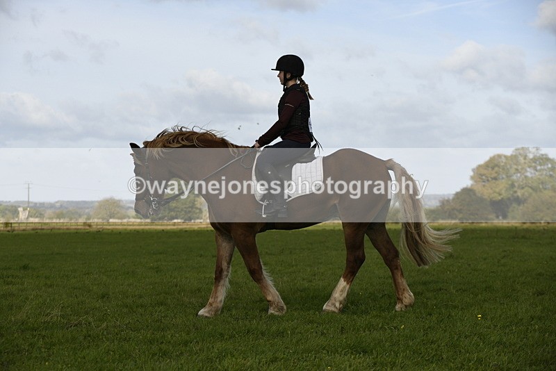 _DSC6116 - Time 11:23 to 12:05