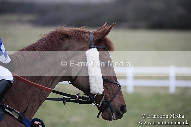 PtP 180218 339 - Combined Services Point-to-Point Larkhill 18/02/18