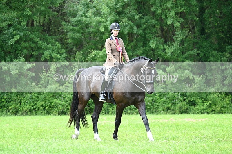 WJ7_1618 - Class 11 Condition & Turnout