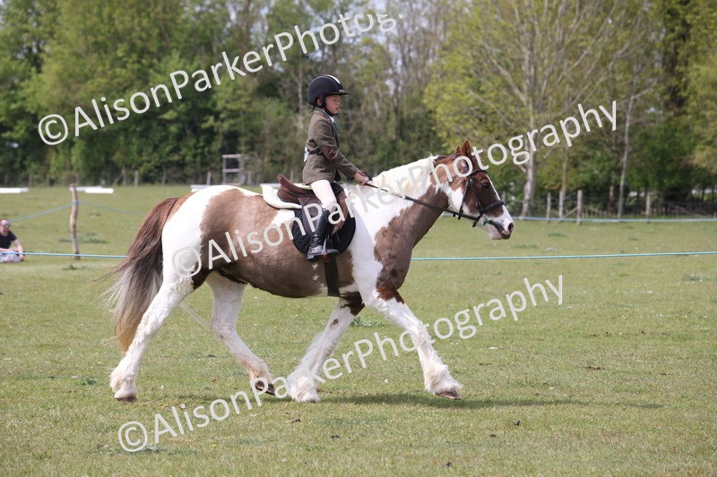 20260426-4317 - Class 34 - Best Riding Horse Over 14.2hh