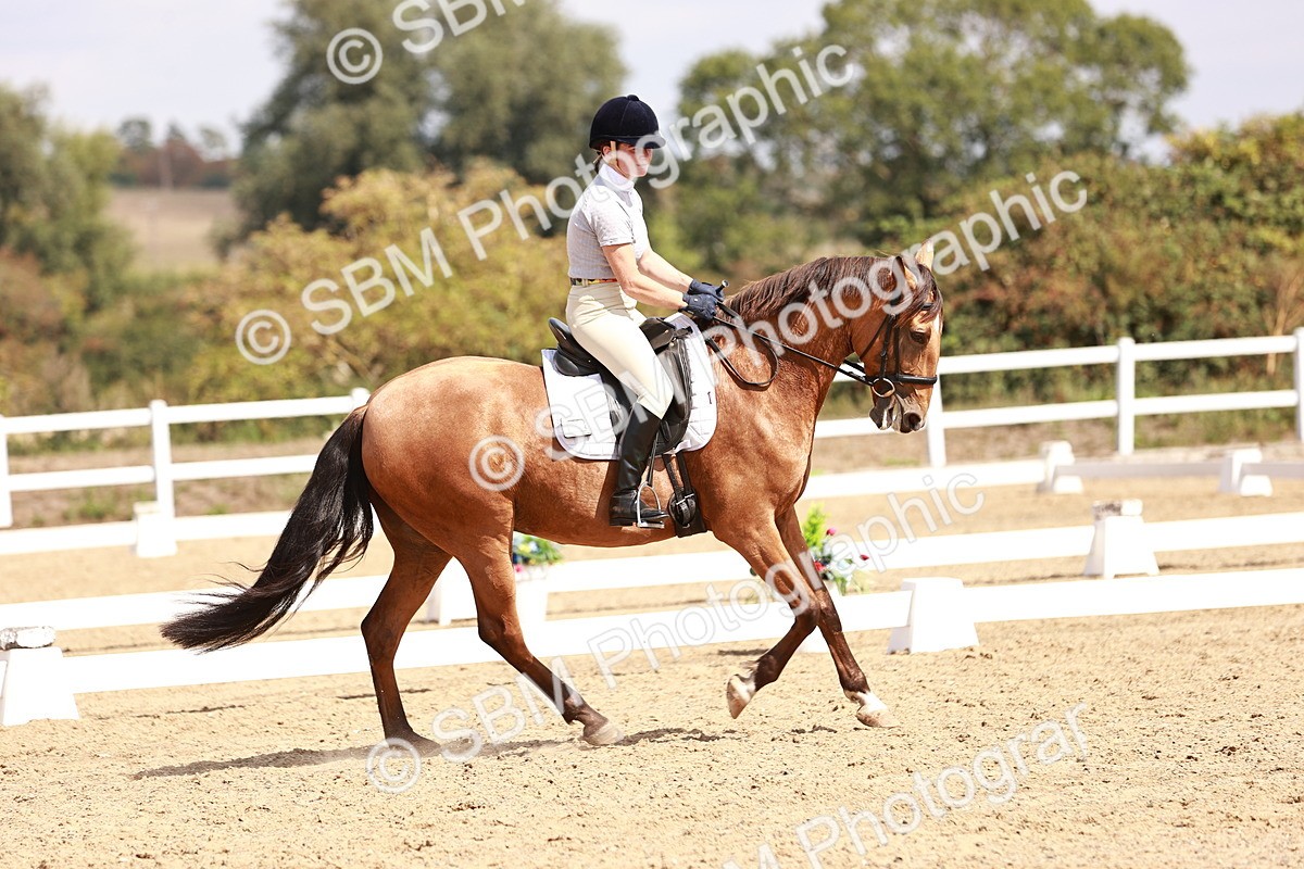 SBM_018563 - Class 17 - Novice 6
