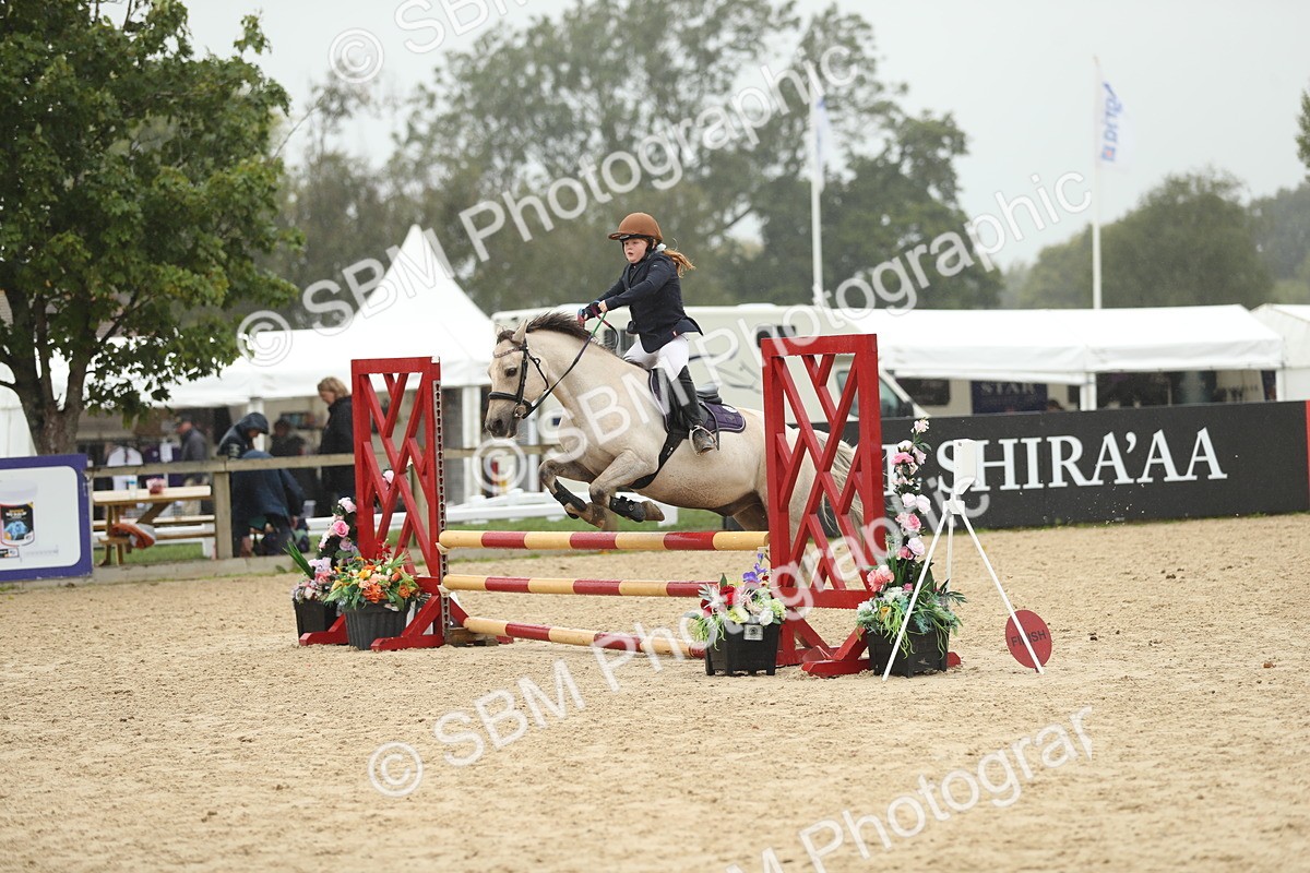 SBM_73783 - J16 - Junior Pony 75cm Championship