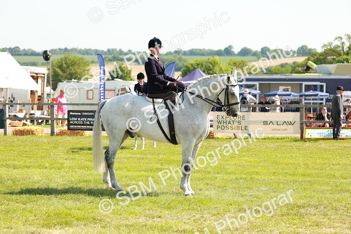 SBM_13197 - Class 70-71 - Side Saddle