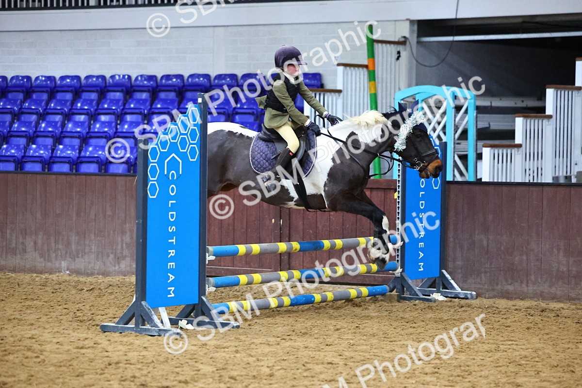 SBM_001476 - Class 3 - Christmas Tree Stakes - 60cm