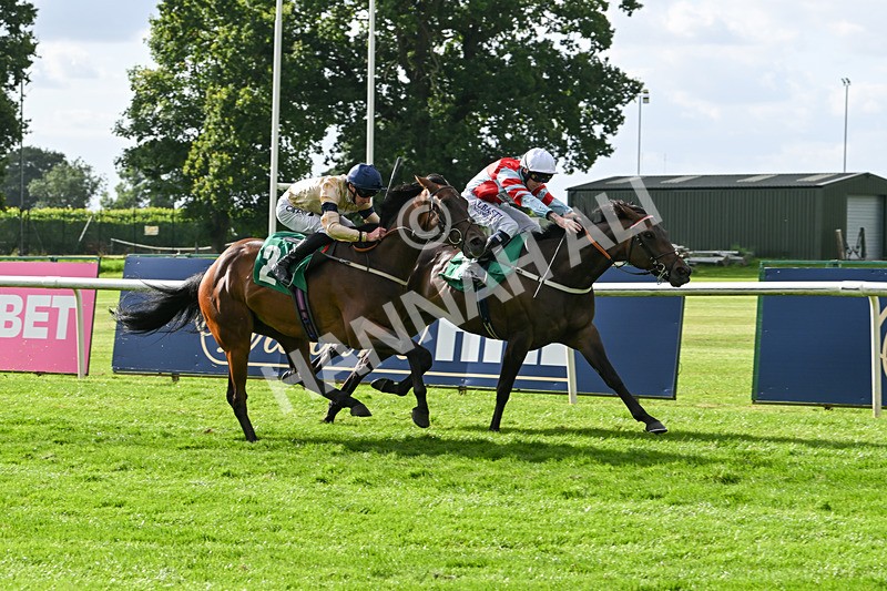 030824-Race 6-Night Breeze-1961 - Race 6