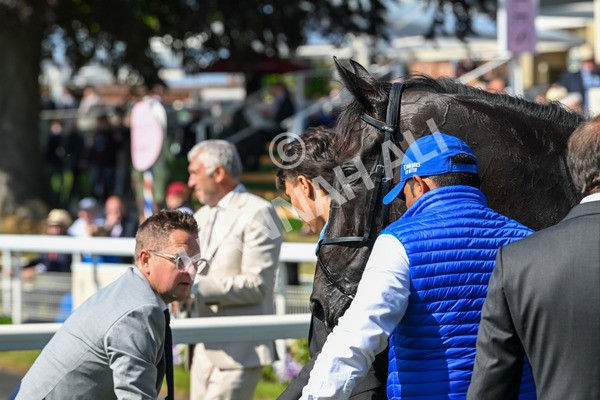160525-Race 4-Rebels Romance-6825 - Race 4 3.45pm Boodles Yorkshire Cup Stakes