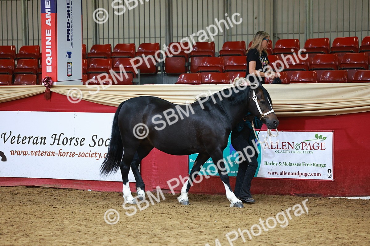 SBM_18396 - Class 903 - Sup Final - IH Pre Vet