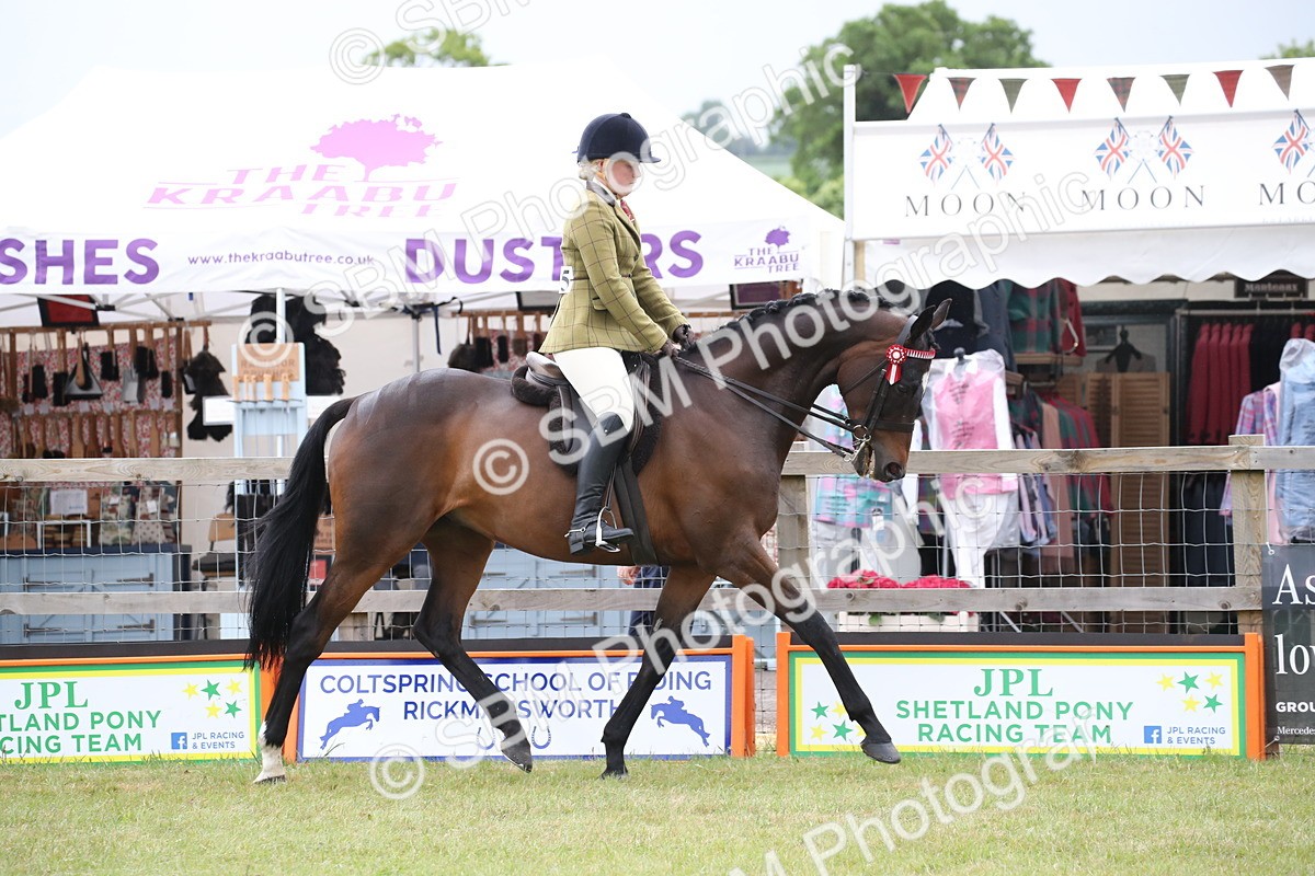 SBM_11394 - Class 94 - LIHS BSHA Racehorse to Showhorse