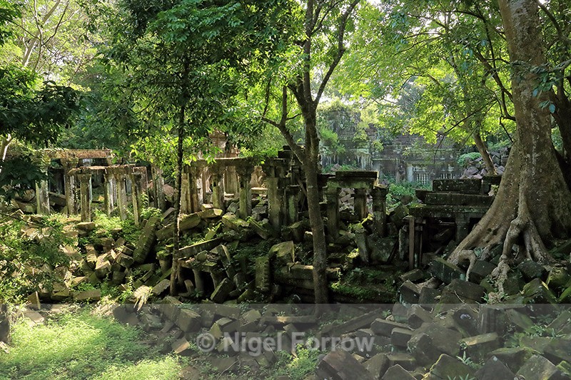 View of Beng Mealea ruins, Cambodia - Cambodia