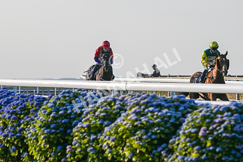 200726-Race 3-It Just Takes Time-6825 - Race 3 19.30pm Skybet Go-Racing-In-Yorkshire Summer Festival Handicap