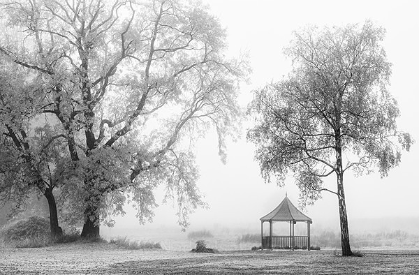  - Black & White