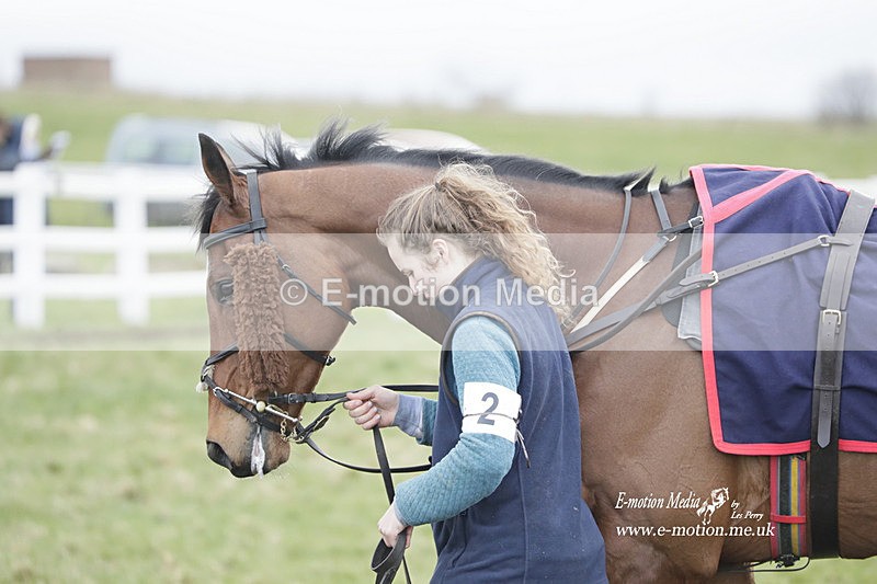 PtP 260323 0766 - New Forest Hounds Point-to-Point Larkhill 26/03/23