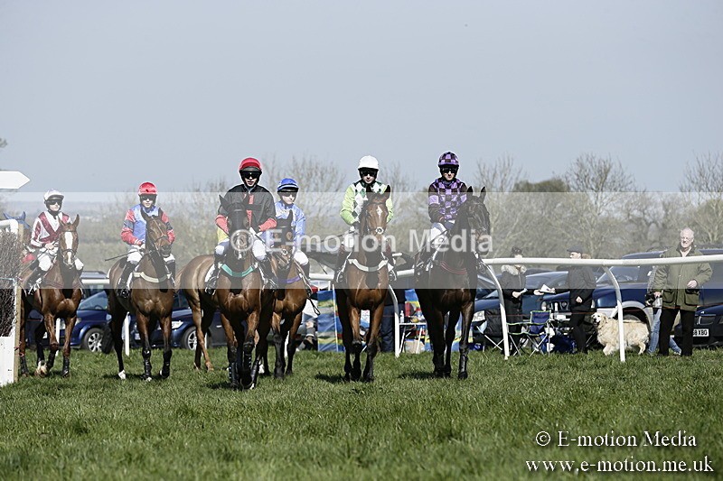 PtP 260317 184 - Mendip Farmers Point-to-Point Ston Easton 26/03/17
