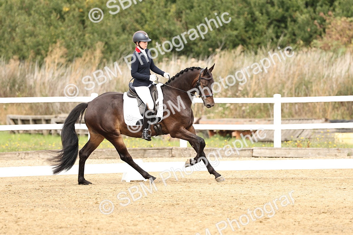 SBM_012401 - Class 2 - Prelim 5