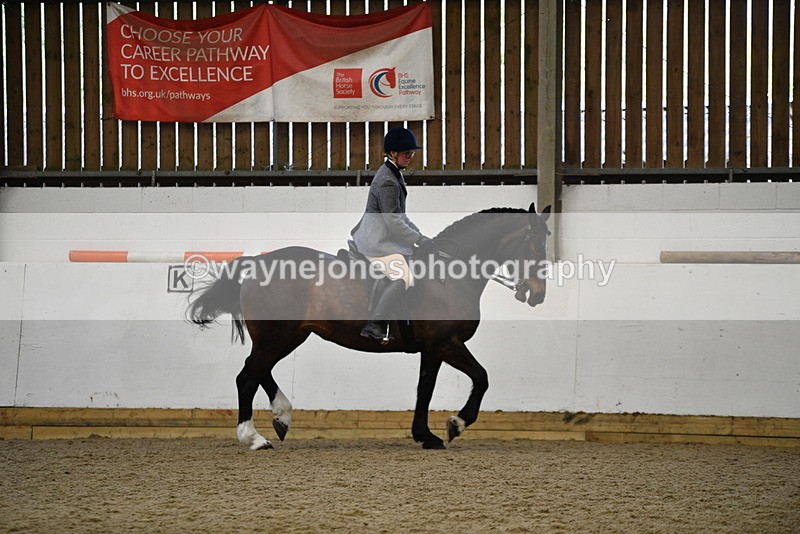 WJ5_7768 - Class 13 Ridden Part Breed