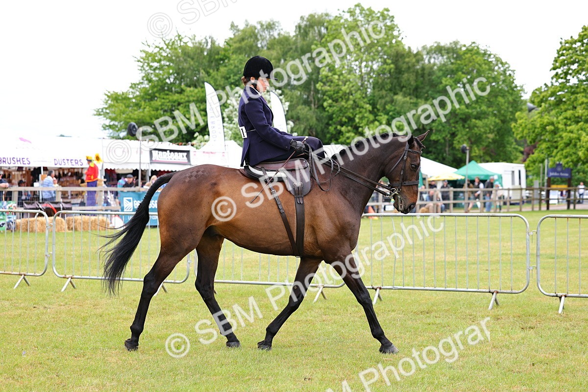 SBM_02808 - Class 9-11 Side Saddle including LIHS Rising Star Ladies Show Horse