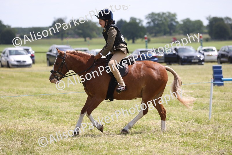 20260614-1949 - Class 21 - Novice Working Hunter Pony