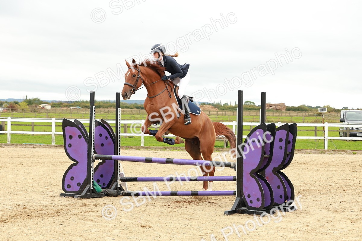 1I0A6955 - Class 2 - Senior British Novice