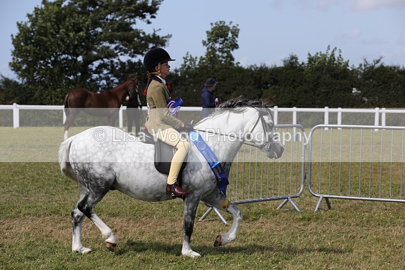 1X9A5514 - M&M Mini Ridden Championship