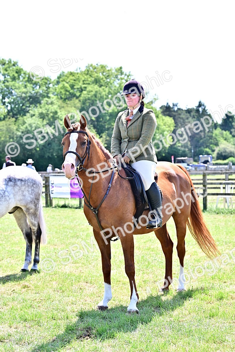 SBM_17513 - Class 95-97 - BSPS LHS Performance Ponies
