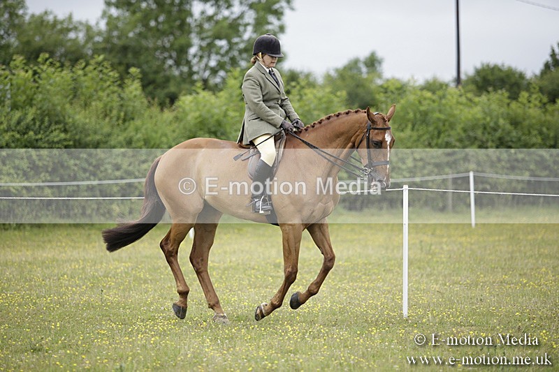 BVR160717-776 - Ring 1 BVRC Show 16/07/17