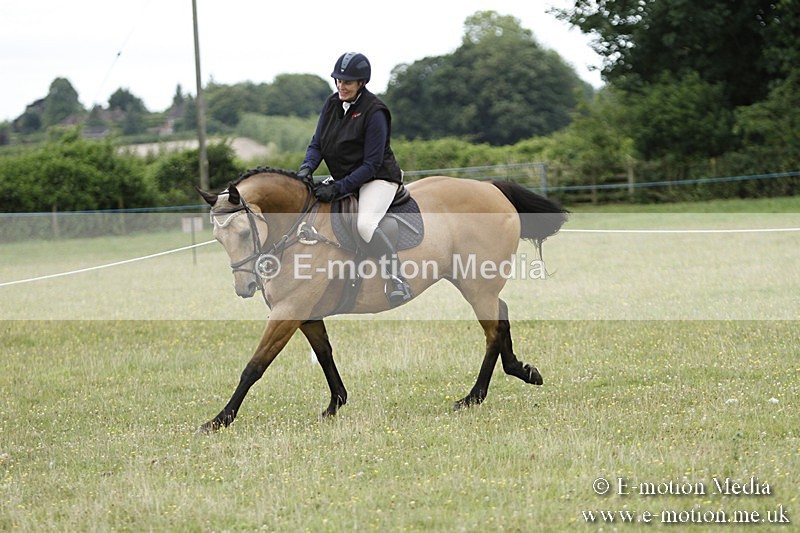 BVR160717-898 - Ring 3 BVRC Show 16/07/17